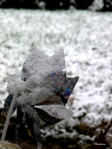 Pinwheel in snow